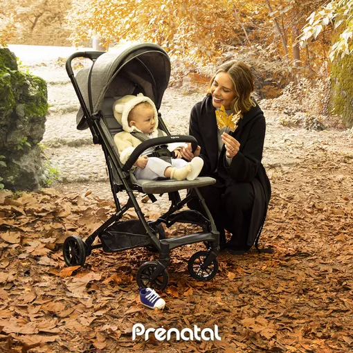 Prenatal-AVENUE-Pre Black Friday