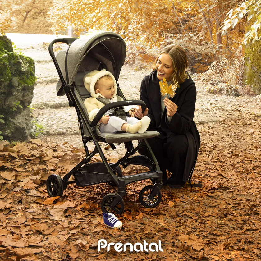 Prenatal-AVENUE-Pre Black Friday